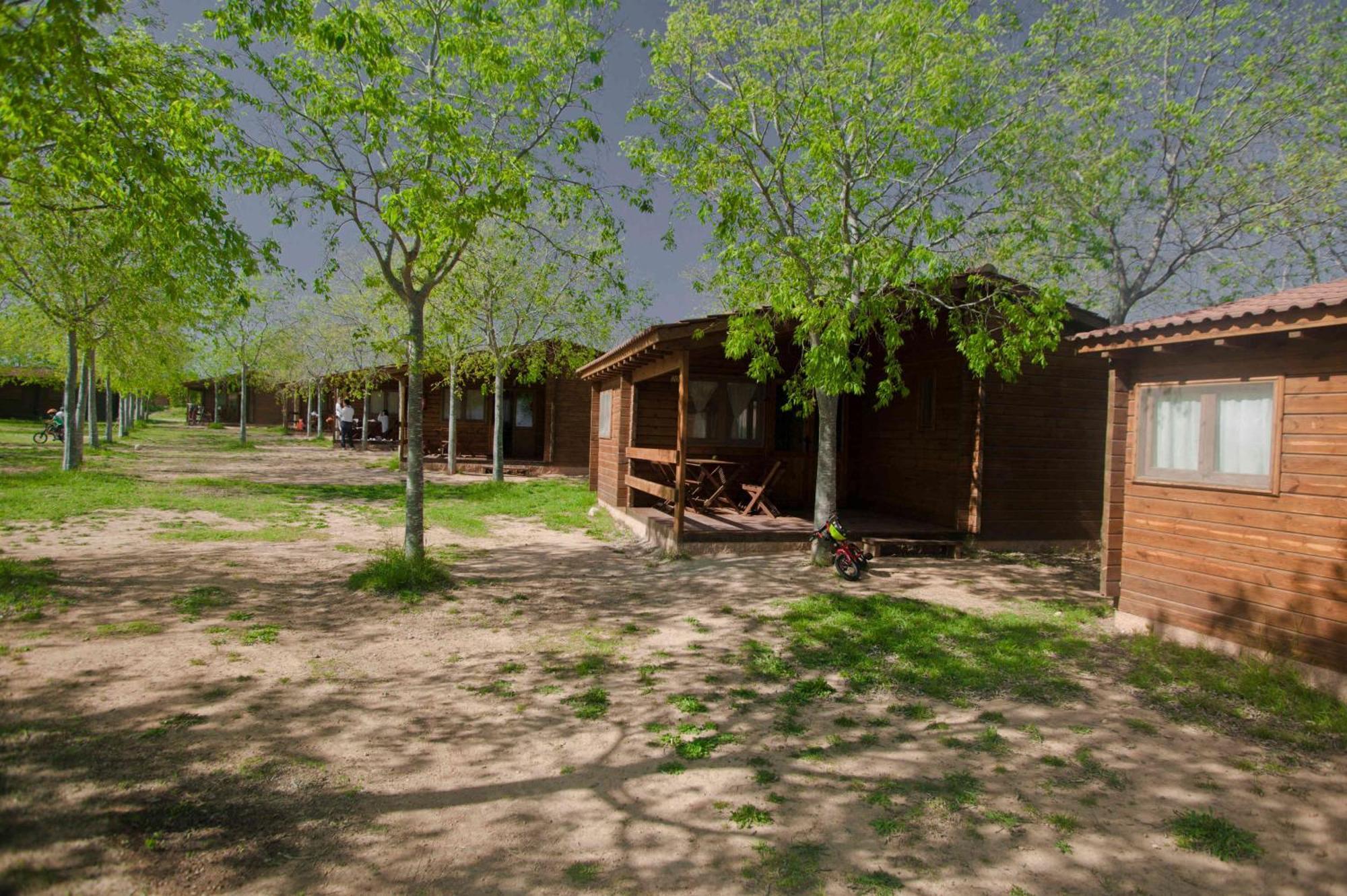 Ecologic Vinyols Camp Vinyols i Els Arcs Exterior foto