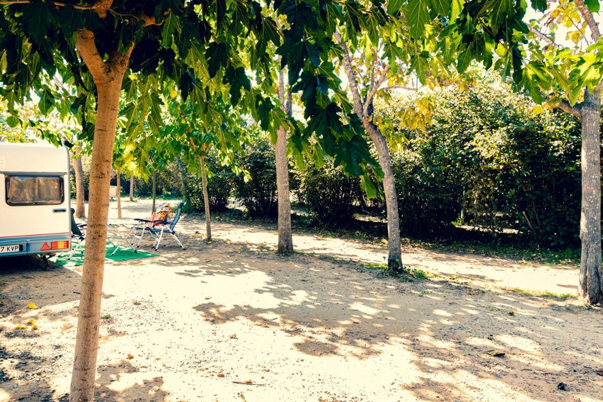 Ecologic Vinyols Camp Vinyols i Els Arcs Exterior foto