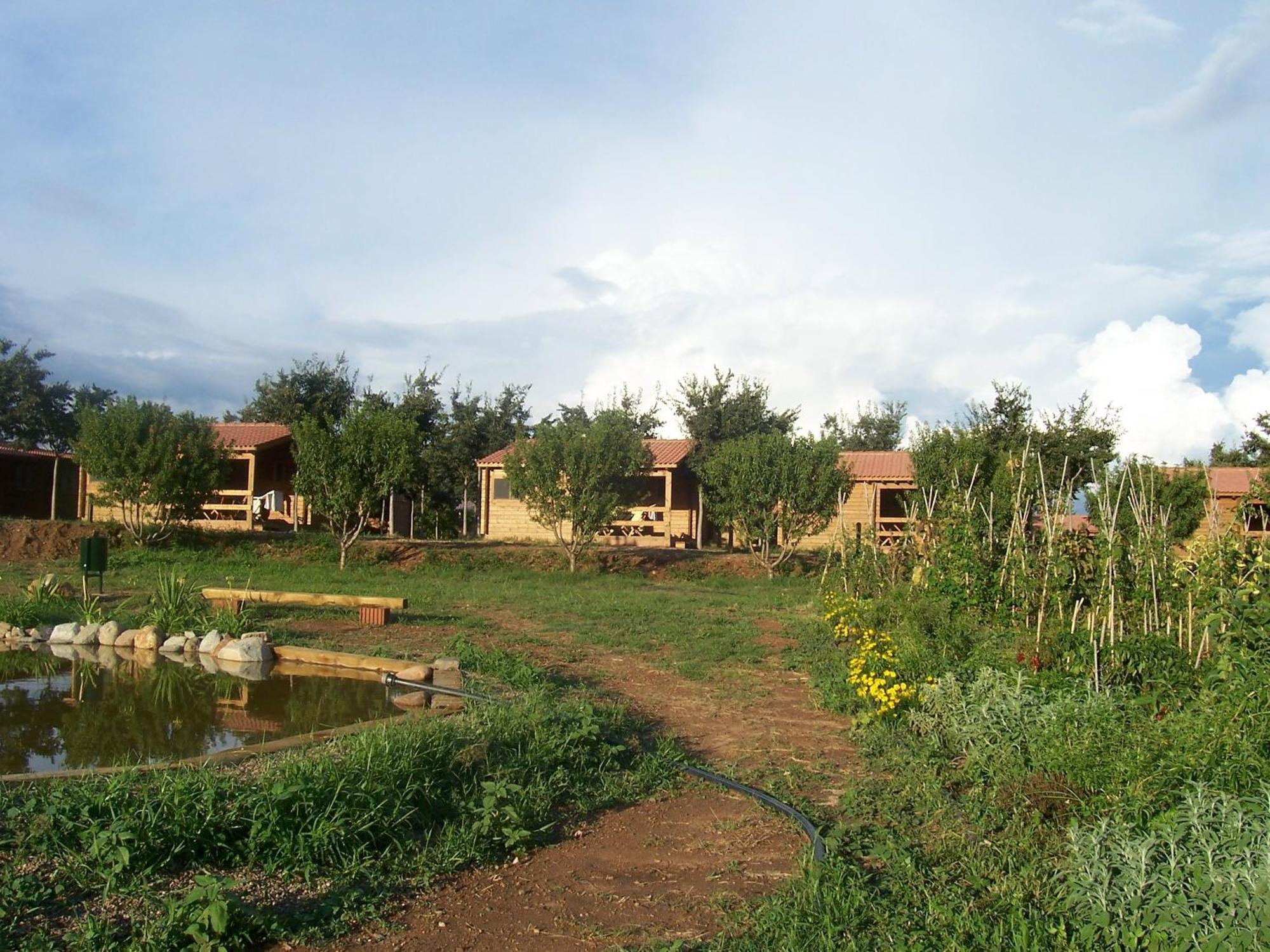 Ecologic Vinyols Camp Vinyols i Els Arcs Exterior foto
